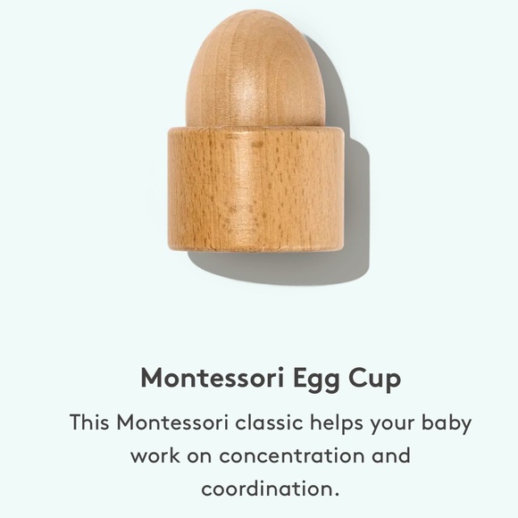 Lovevery 9-10M Montessori Toys and Guide. In great like new condition - Picture 10 of 14